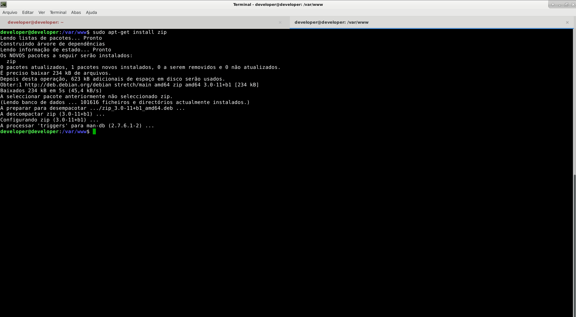 Como instalar zip no Debian 9 (Stretch)